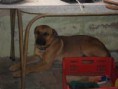 /album/galeria-de-fotos/ogaaap1l3szoq9owzzebwa7-tibbuuwq-4adwfx-xn3ugkbjutuxwcois-42sog3eavjetsayqwd0vkii52iqkjuhdsam1t1uiuyiwbljnzvpynov2wvuob9k-yy-jpg/