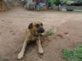 /album/galeria-de-fotos/z1xfo8p6-jpg1/